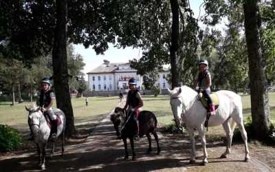 Obóz młodzieżowy, Obóz jeździecki z odznakami PZJ Runowo, 10 dni 10-18 lat